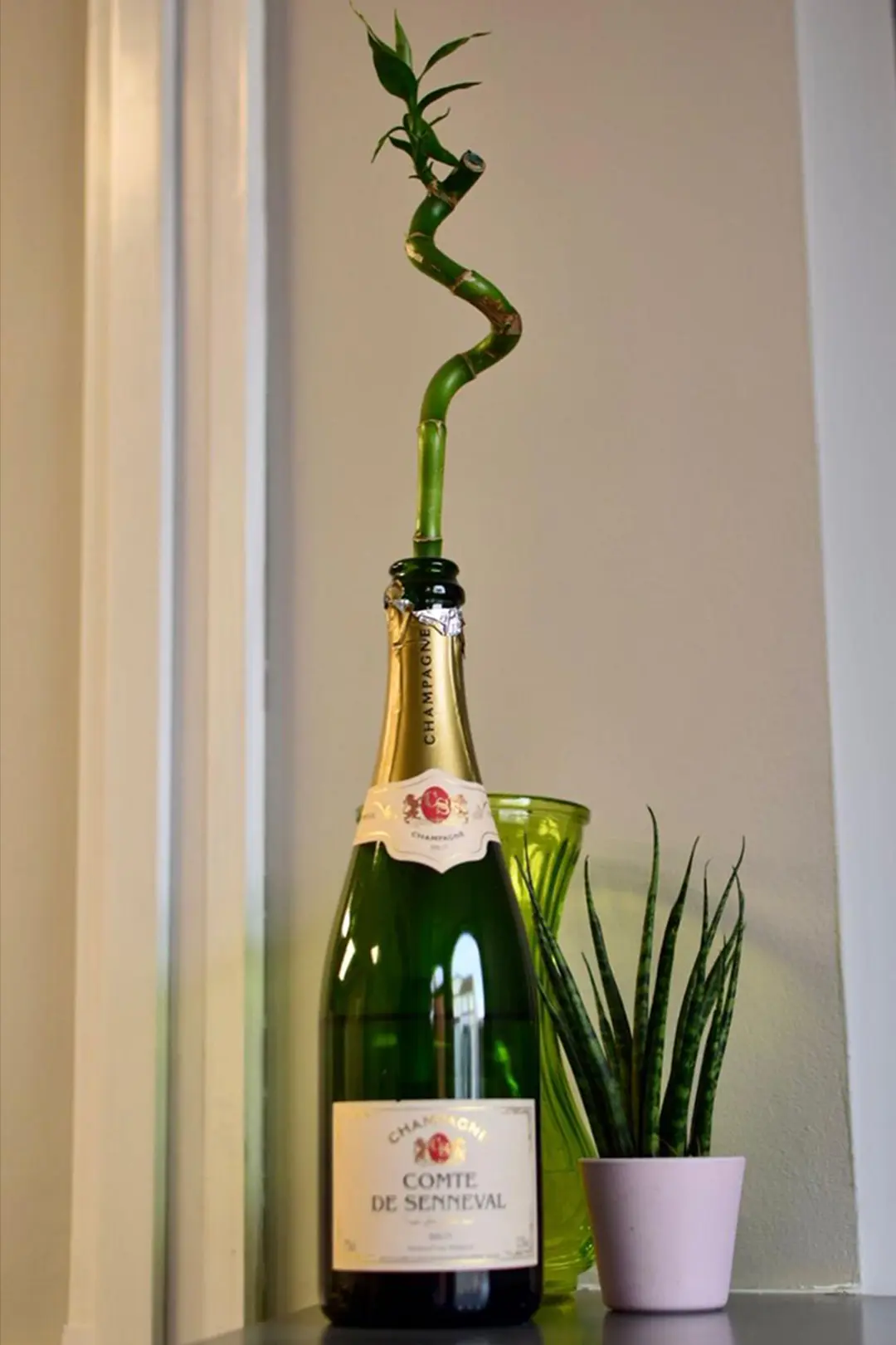 Photo showing opening bottle of champage with a bamboo plant in the top